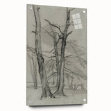 Sketch of Bare Trees - Mysterious Forest Gothic Wall Art Print