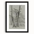 Sketch of Bare Trees - Mysterious Forest Gothic Wall Art Print