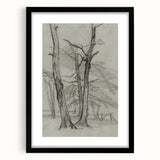 Sketch of Bare Trees - Mysterious Forest Gothic Wall Art Print