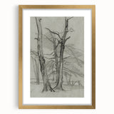Sketch of Bare Trees - Mysterious Forest Gothic Wall Art Print