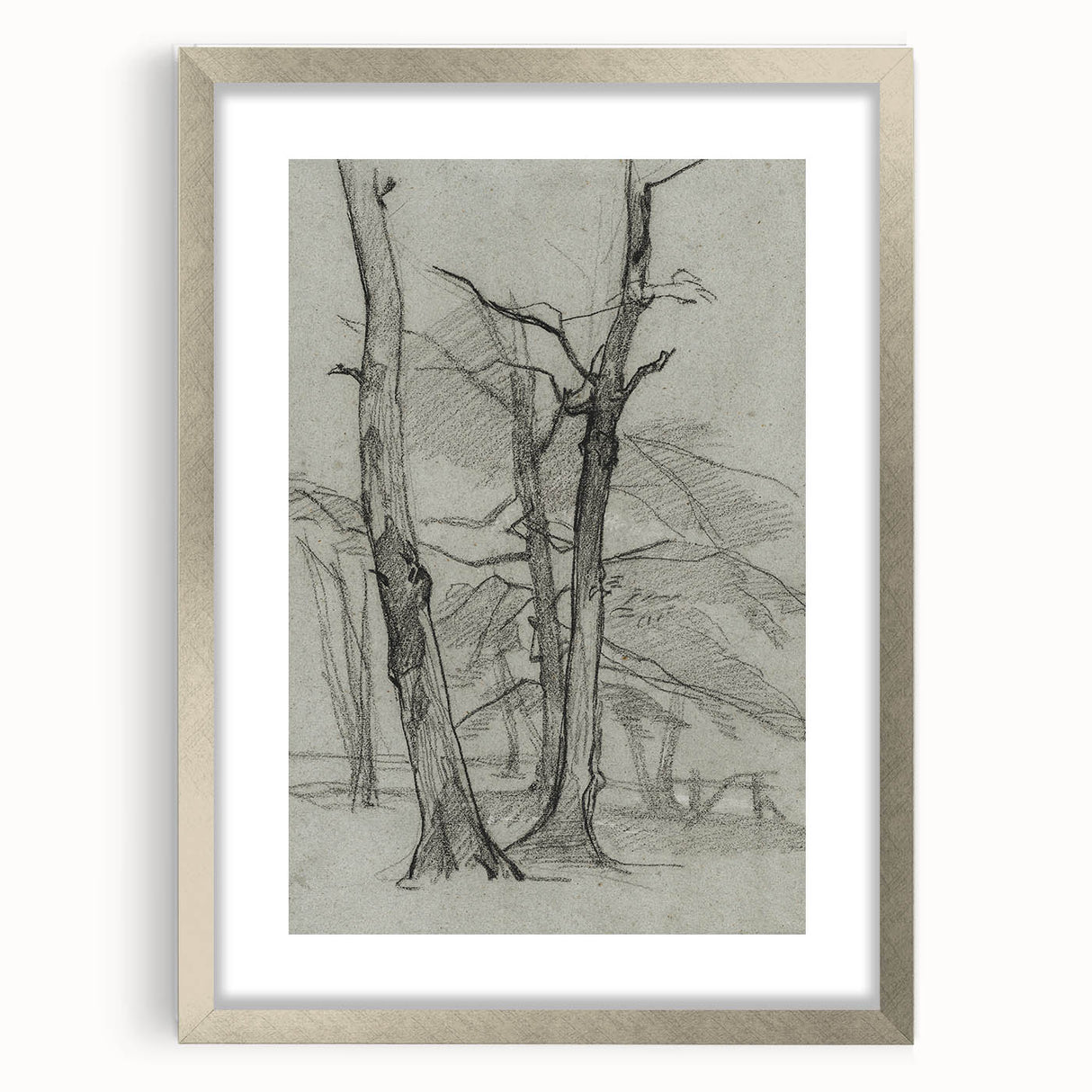 Sketch of Bare Trees - Mysterious Forest Gothic Wall Art Print