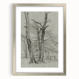 Sketch of Bare Trees - Mysterious Forest Gothic Wall Art Print