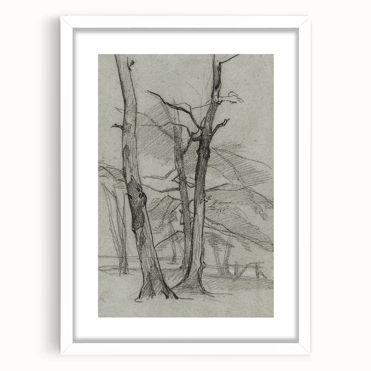 Sketch of Bare Trees - Mysterious Forest Gothic Wall Art Print
