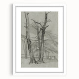 Sketch of Bare Trees - Mysterious Forest Gothic Wall Art Print