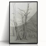Sketch of Bare Trees - Mysterious Forest Gothic Wall Art Print
