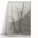 Sketch of Bare Trees - Mysterious Forest Gothic Wall Art Print