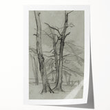 Sketch of Bare Trees - Mysterious Forest Gothic Wall Art Print
