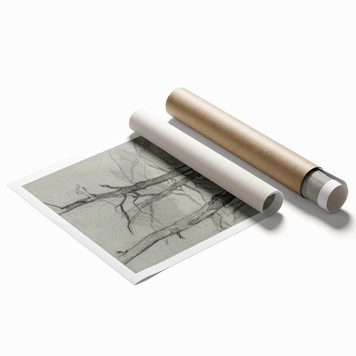 Sketch of Bare Trees - Mysterious Forest Gothic Wall Art Print