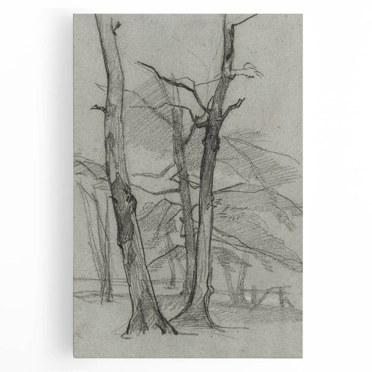 Sketch of Bare Trees - Mysterious Forest Gothic Wall Art Print