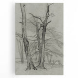 Sketch of Bare Trees - Mysterious Forest Gothic Wall Art Print