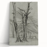Sketch of Bare Trees - Mysterious Forest Gothic Wall Art Print