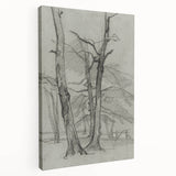 Sketch of Bare Trees - Mysterious Forest Gothic Wall Art Print