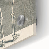 Vintage Gothic Skeleton Print - Classic Anatomical Gothic Wall Art