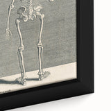 Vintage Gothic Skeleton Print - Classic Anatomical Gothic Wall Art