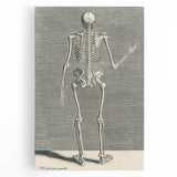 Vintage Gothic Skeleton Print - Classic Anatomical Gothic Wall Art