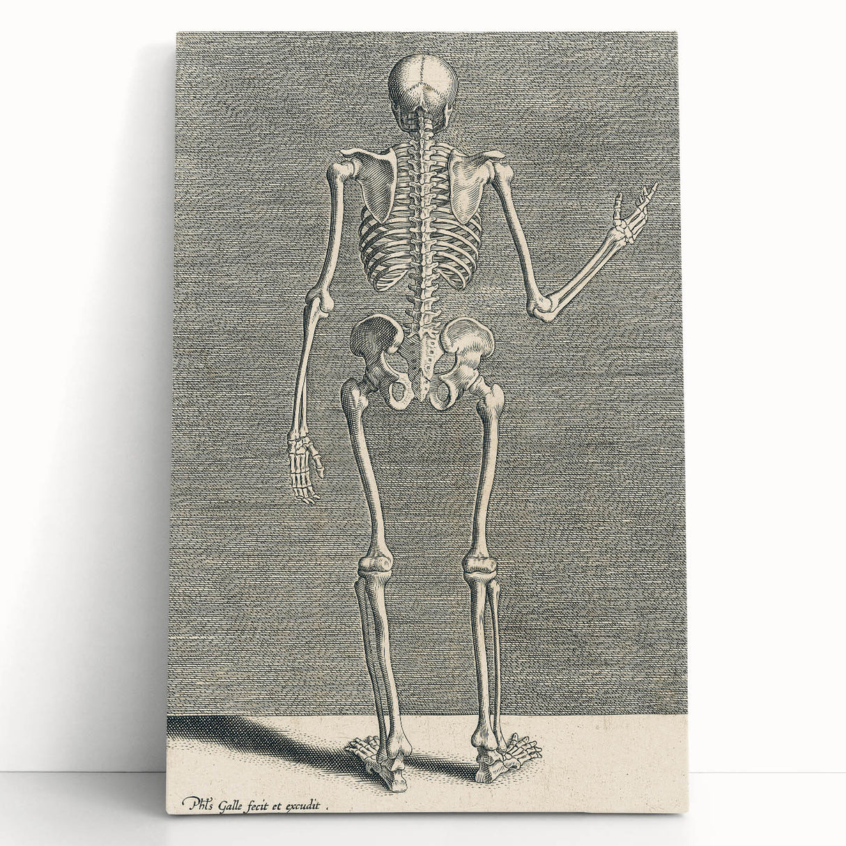 Vintage Gothic Skeleton Print - Classic Anatomical Gothic Wall Art