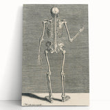 Vintage Gothic Skeleton Print - Classic Anatomical Gothic Wall Art