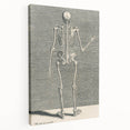 Vintage Gothic Skeleton Print - Classic Anatomical Gothic Wall Art