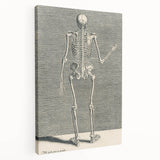 Vintage Gothic Skeleton Print - Classic Anatomical Gothic Wall Art