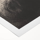 Dark Gothic Wall Art - Ethereal Phantom Vintage Gothic Print