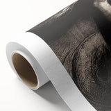 Dark Gothic Wall Art - Ethereal Phantom Vintage Gothic Print