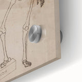 Gothic Wall Art | Skeleton Illustration | Dark Decor Style