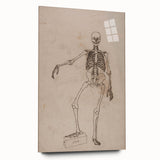 Gothic Wall Art | Skeleton Illustration | Dark Decor Style
