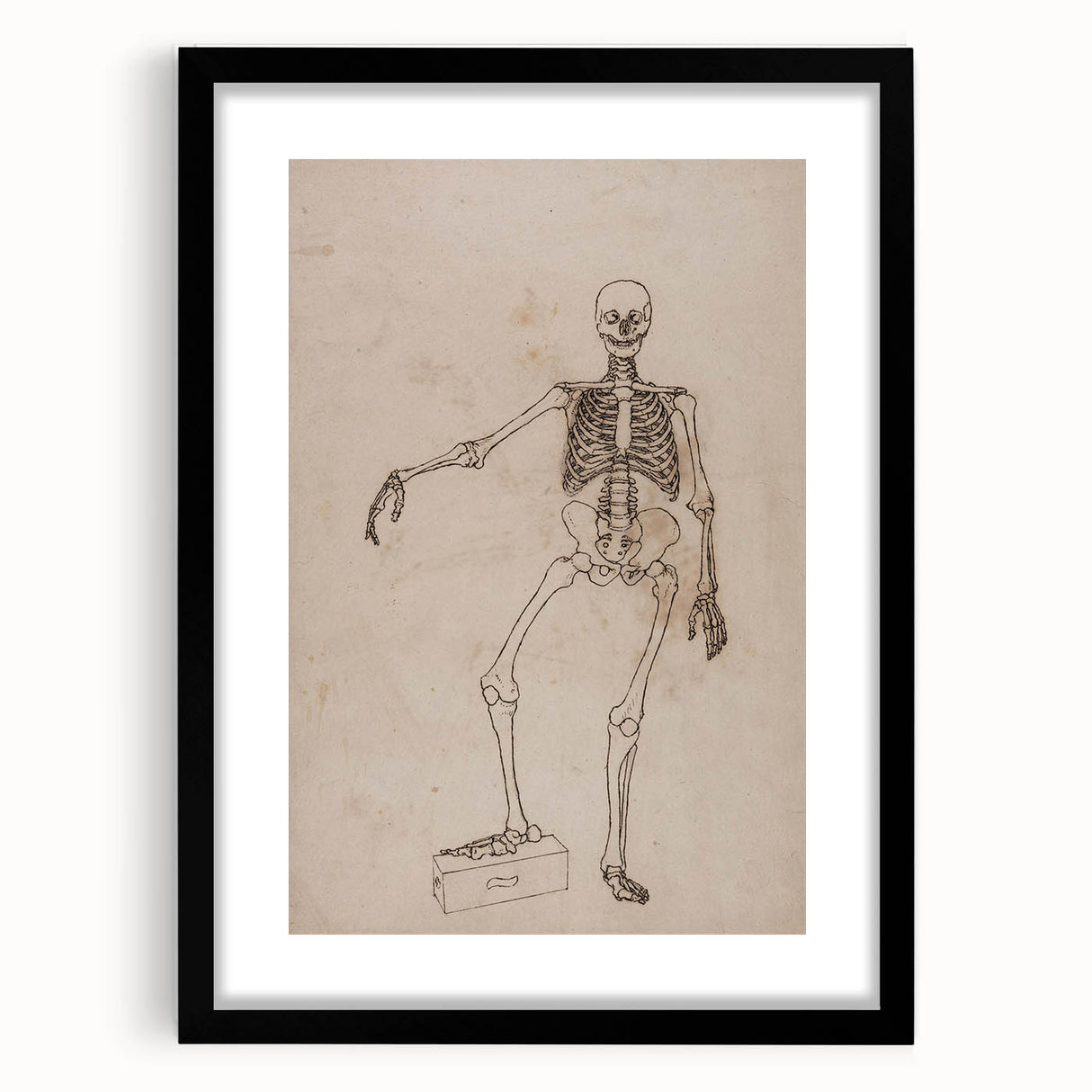Gothic Wall Art | Skeleton Illustration | Dark Decor Style