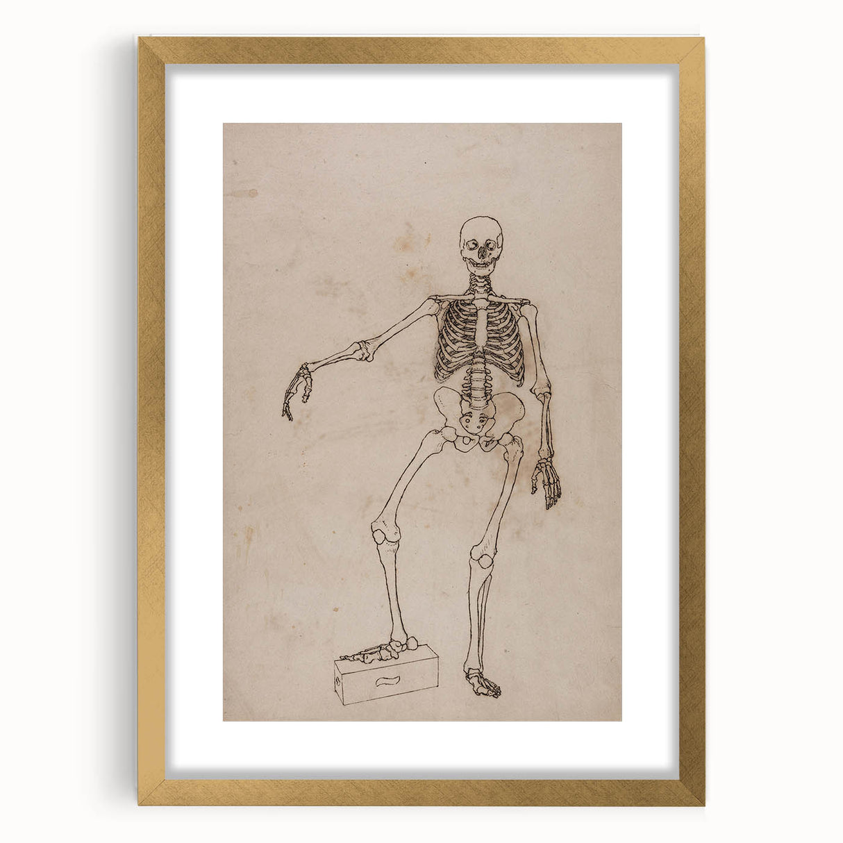 Gothic Wall Art | Skeleton Illustration | Dark Decor Style