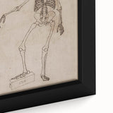Gothic Wall Art | Skeleton Illustration | Dark Decor Style