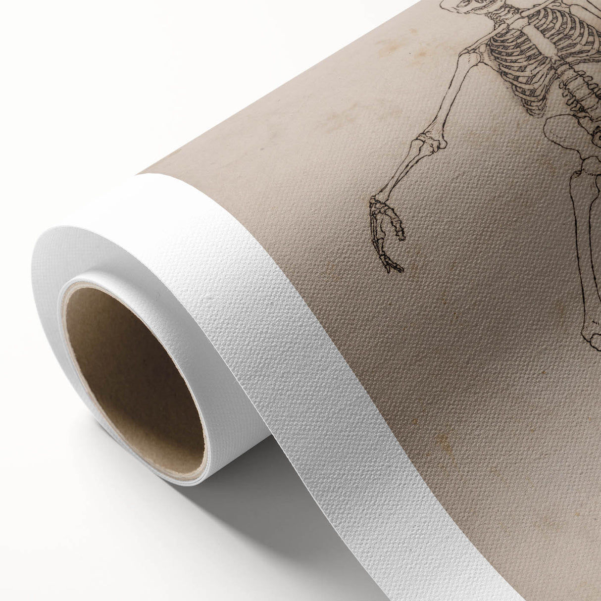 Gothic Wall Art | Skeleton Illustration | Dark Decor Style