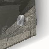 Gothic Wall Art | Dark Creature Illustration | Mysterious Gothic Art