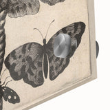 Vintage Gothic Insect Art - Moths and Butterflies Gothic Wall Print