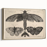 Vintage Gothic Insect Art - Moths and Butterflies Gothic Wall Print