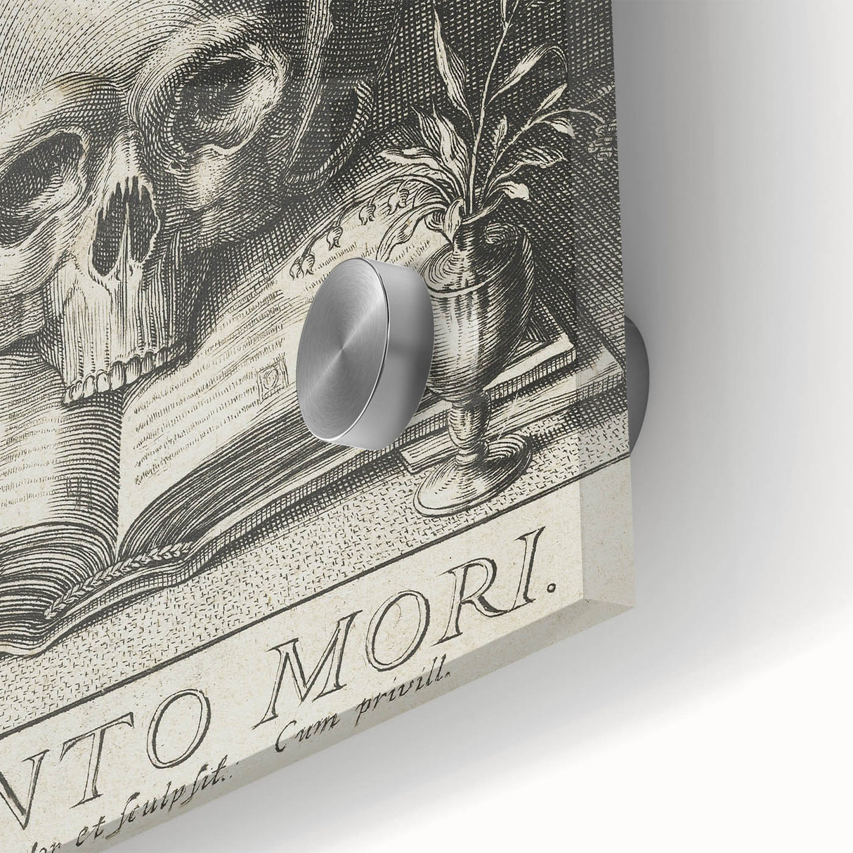 Medieval Memento Mori Gothic Canvas – Vintage Skull Gothic Wall Art