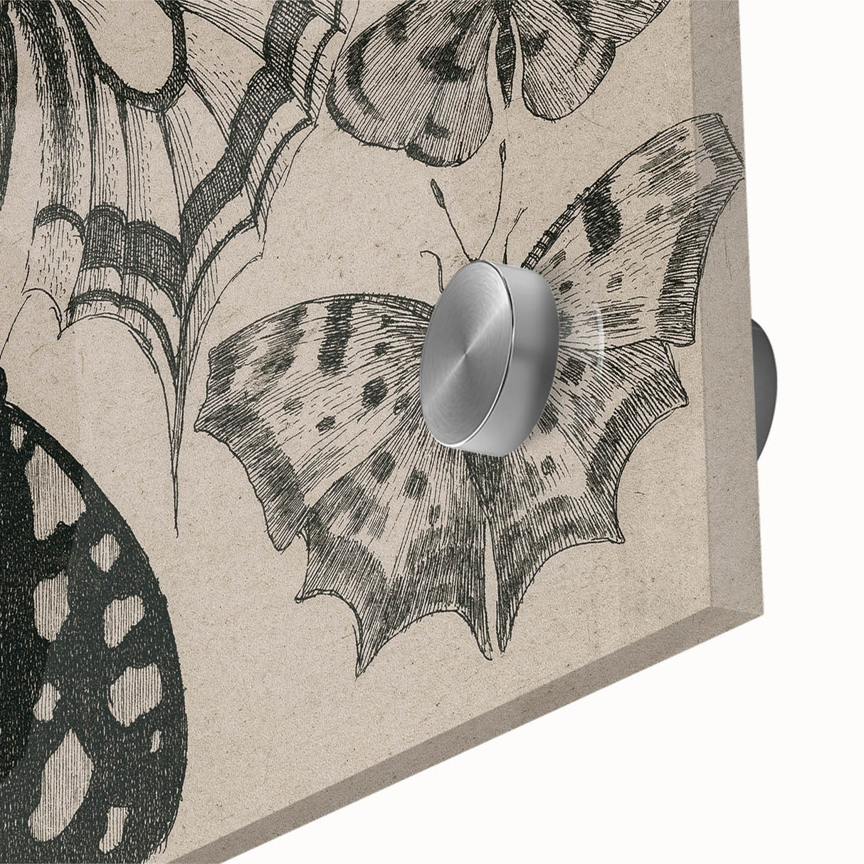 Gothic Artworks - Vintage Insect Illustration on Medieval Gothic Canvas