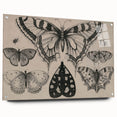 Gothic Artworks - Vintage Insect Illustration on Medieval Gothic Canvas