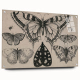 Gothic Artworks - Vintage Insect Illustration on Medieval Gothic Canvas