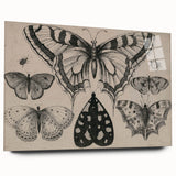 Gothic Artworks - Vintage Insect Illustration on Medieval Gothic Canvas