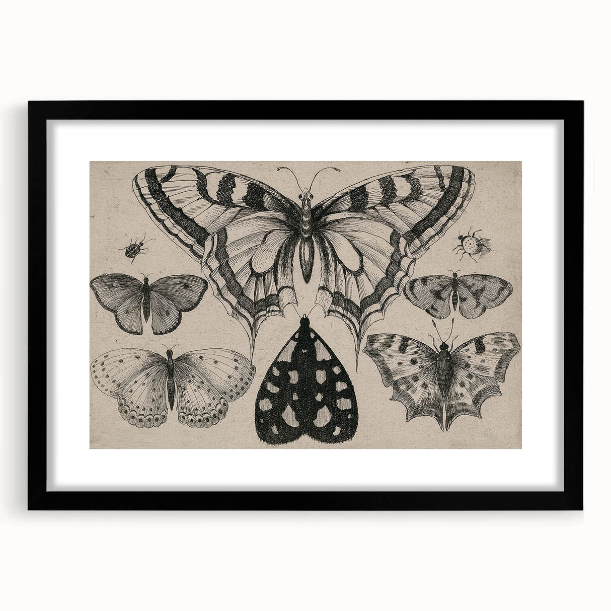 Gothic Artworks - Vintage Insect Illustration on Medieval Gothic Canvas