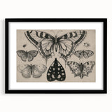 Gothic Artworks - Vintage Insect Illustration on Medieval Gothic Canvas