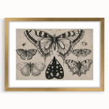 Gothic Artworks - Vintage Insect Illustration on Medieval Gothic Canvas