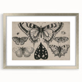 Gothic Artworks - Vintage Insect Illustration on Medieval Gothic Canvas
