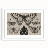 Gothic Artworks - Vintage Insect Illustration on Medieval Gothic Canvas