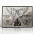 Gothic Artworks - Vintage Insect Illustration on Medieval Gothic Canvas