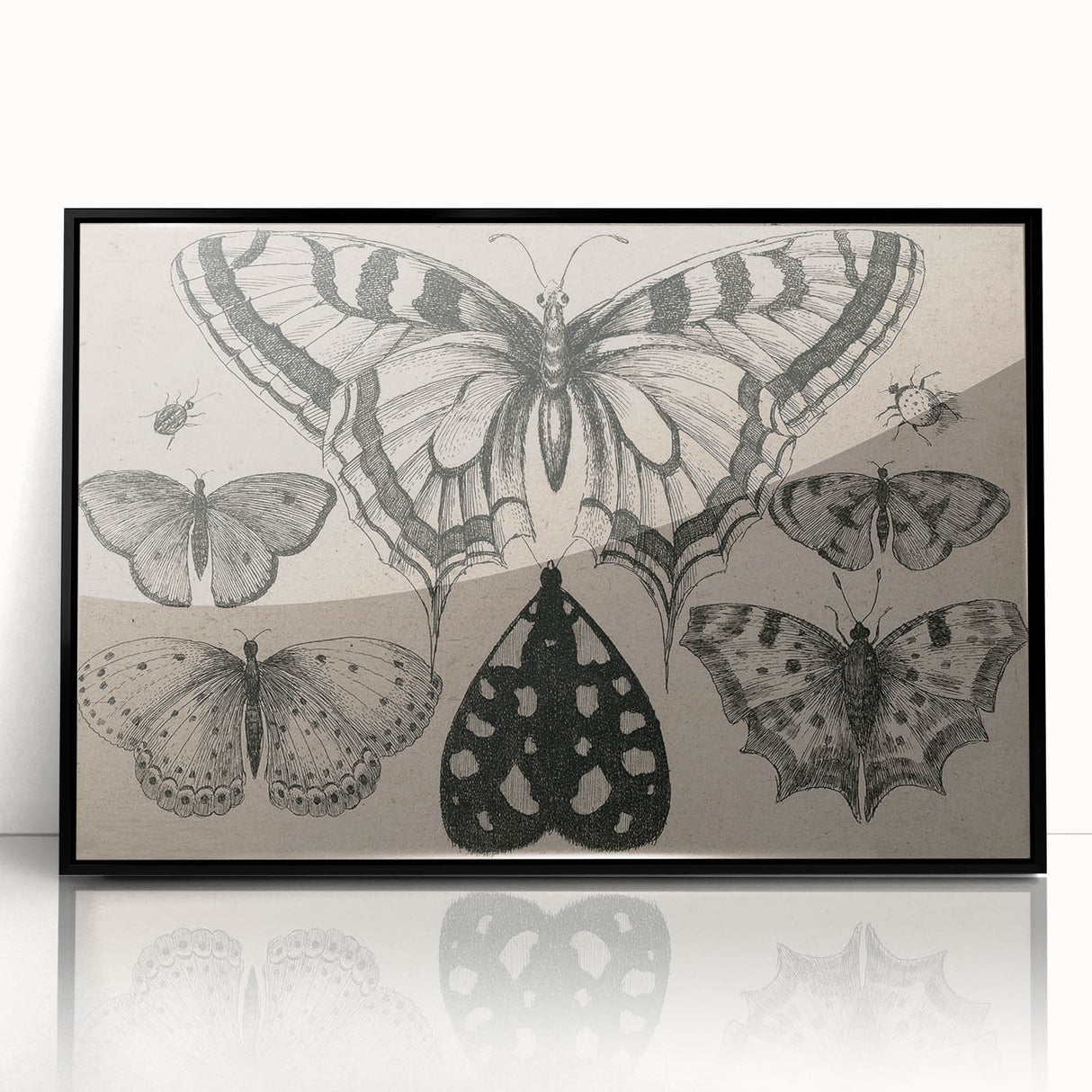 Gothic Artworks - Vintage Insect Illustration on Medieval Gothic Canvas
