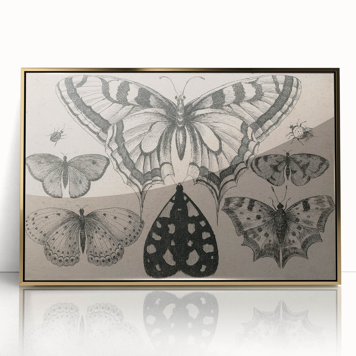Gothic Artworks - Vintage Insect Illustration on Medieval Gothic Canvas
