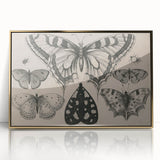 Gothic Artworks - Vintage Insect Illustration on Medieval Gothic Canvas