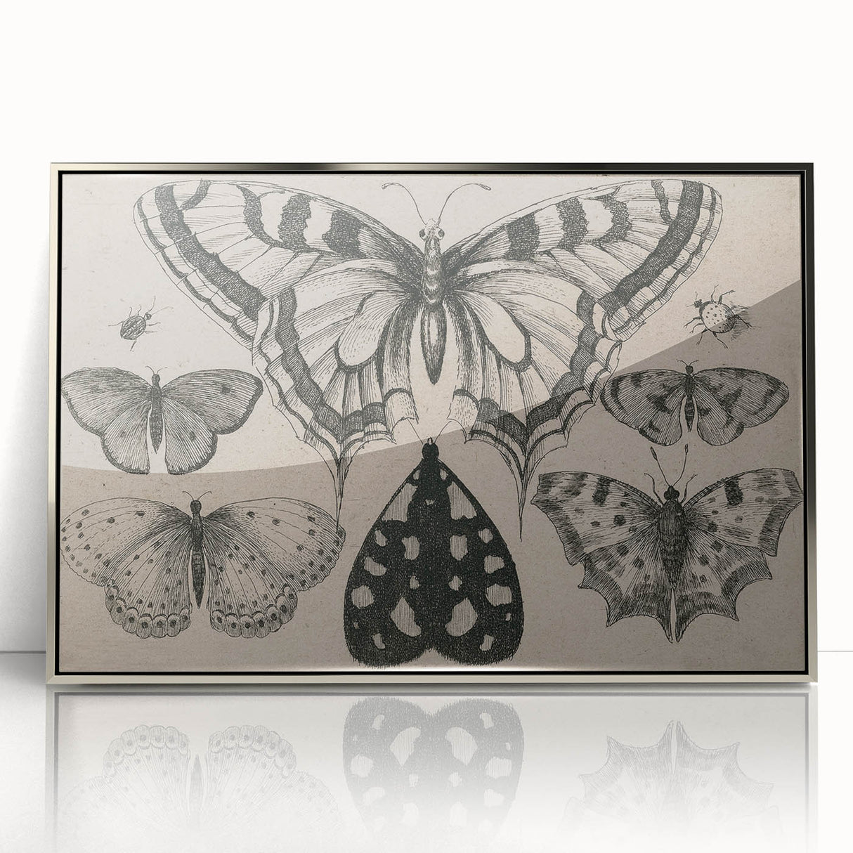 Gothic Artworks - Vintage Insect Illustration on Medieval Gothic Canvas