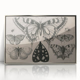 Gothic Artworks - Vintage Insect Illustration on Medieval Gothic Canvas